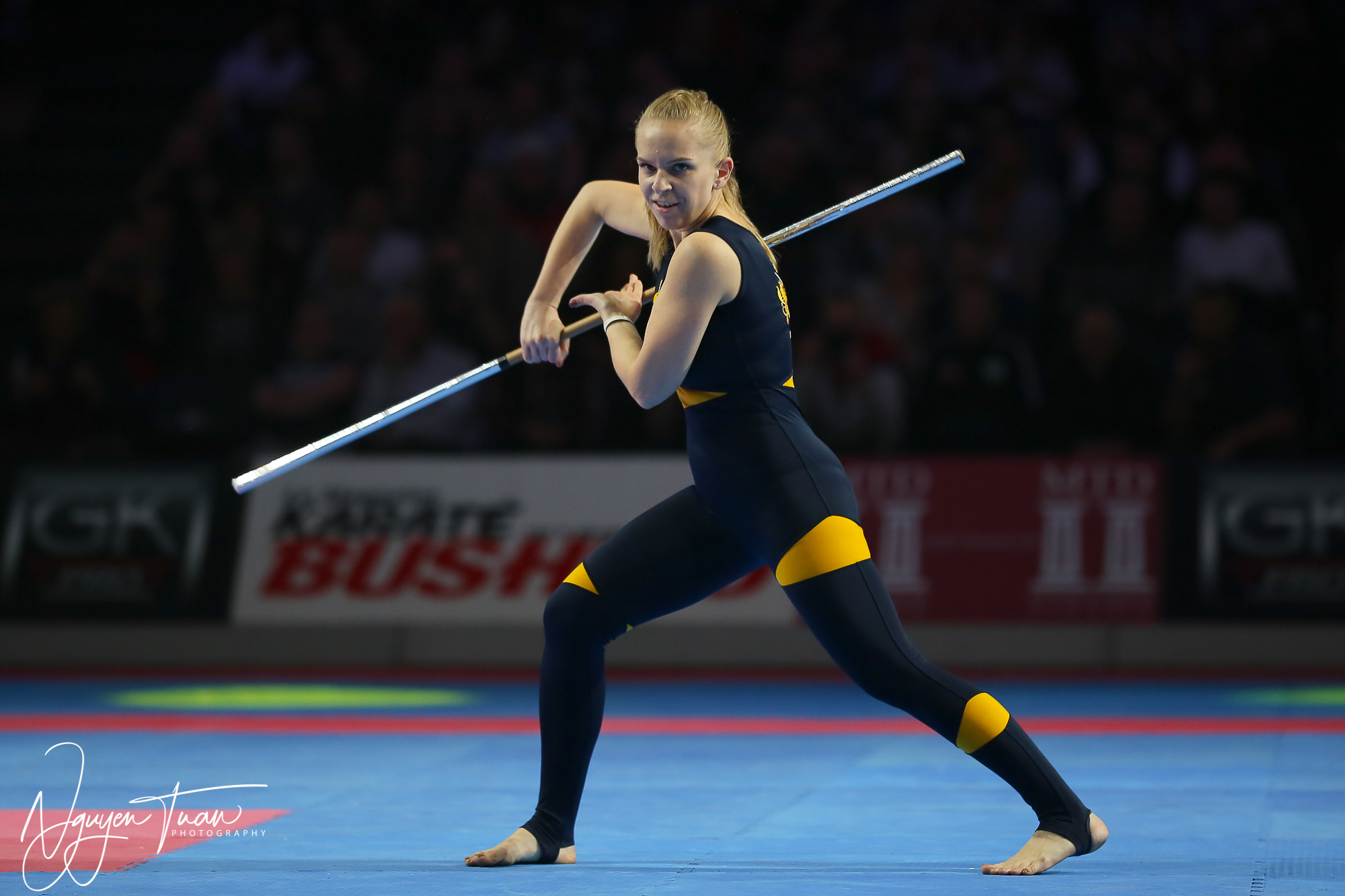 20190324 Festival des Arts Martiaux 4487